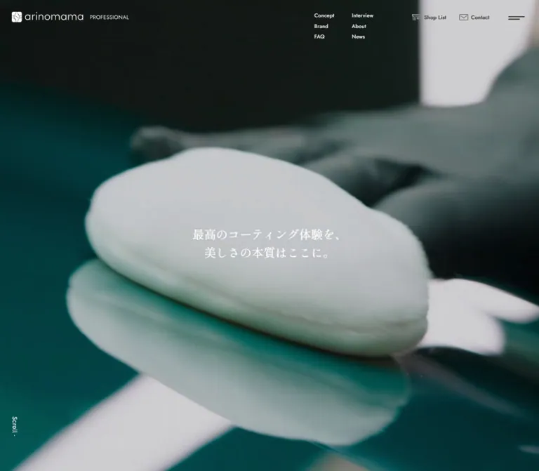 arinomama Professional｜カーコーティング比較・専門店検索のWebサイトプレビュー